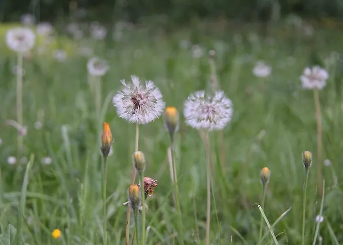 Hostel Ziegenrueck Hostel Ziegenrück